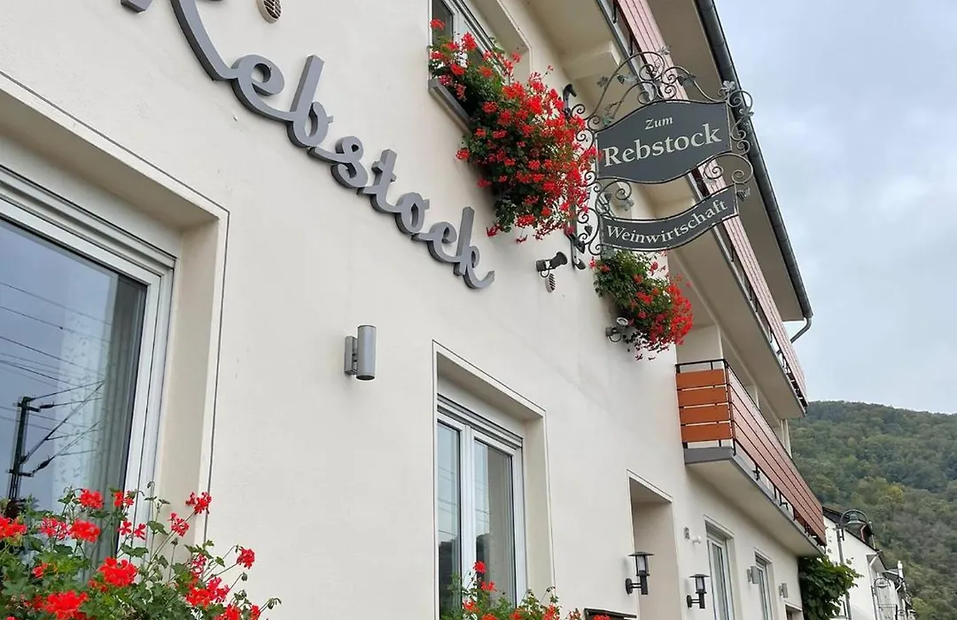 Gasthaus Zum Rebstock-1